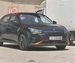 دۆنگ فینگ شاین